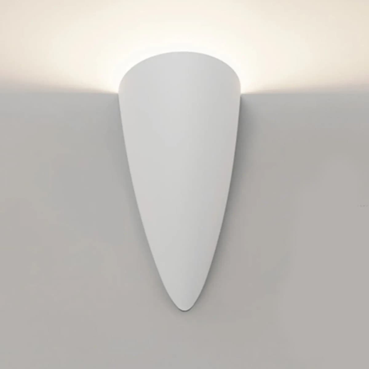 Fin